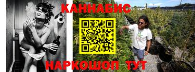 сатива Краснознаменск