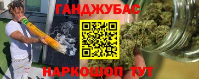 сатива Краснознаменск